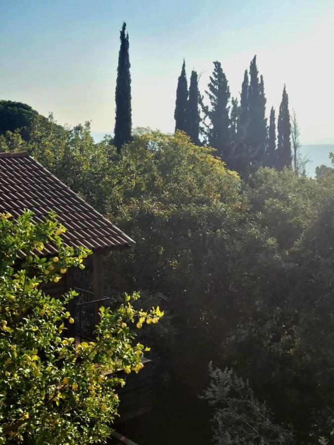 Roof Of The Galilee Villa Amirim Dış mekan fotoğraf
